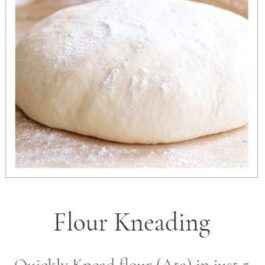 Flour Kneading Dough Maker – AE-900A